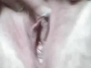 დიდი ჩემი ცხენი, აბა ...