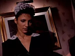 ნაკადი Trans1mals ფი ...